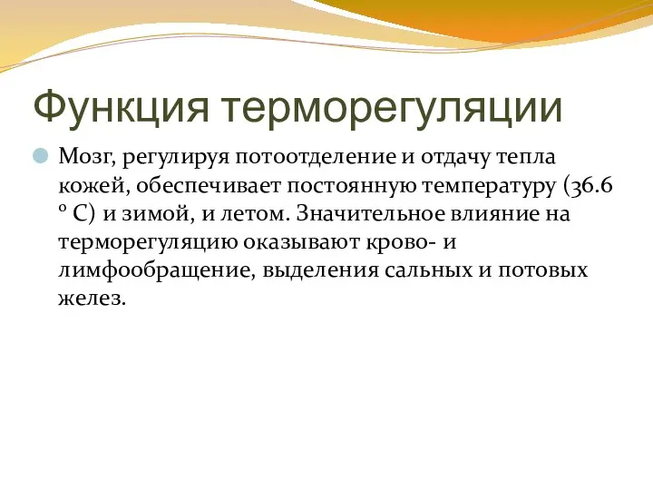 Функция терморегуляции Мозг, регулируя потоотделение и отдачу тепла кожей, обеспечивает