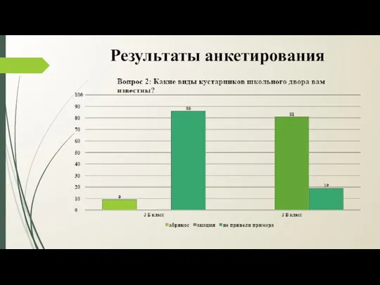 Результаты анкетирования