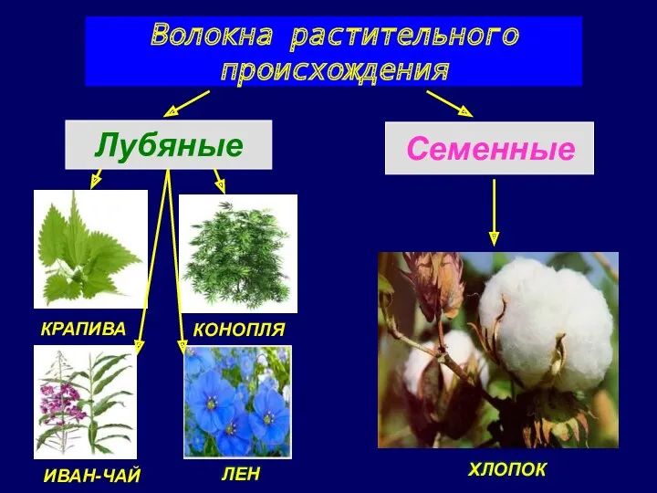 Волокна растительного происхождения Лубяные Семенные КРАПИВА КОНОПЛЯ ИВАН-ЧАЙ ЛЕН ХЛОПОК