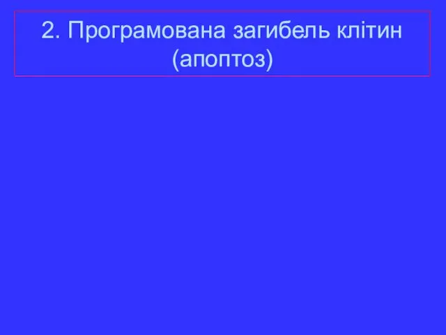 2. Програмована загибель клітин (апоптоз)