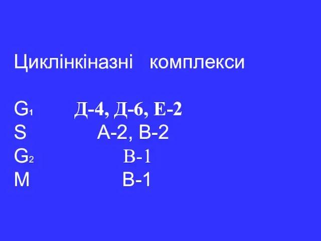 Циклінкіназні комплекси G1 Д-4, Д-6, Е-2 S А-2, В-2 G2 В-1 M В-1