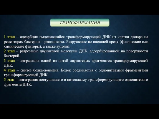 ТРАНСФОРМАЦИЯ 1 этап – адсорбция выделившийся трансформирующей ДНК из клетки