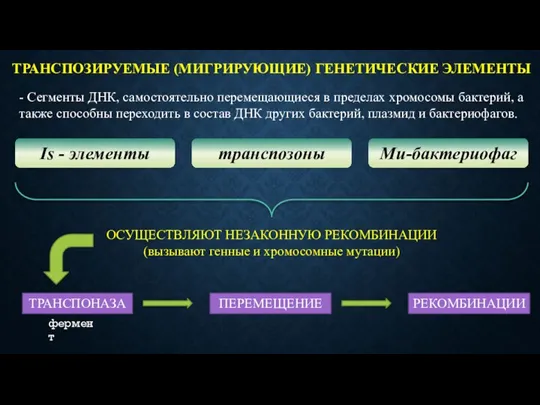 ТРАНСПОЗИРУЕМЫЕ (МИГРИРУЮЩИЕ) ГЕНЕТИЧЕСКИЕ ЭЛЕМЕНТЫ - Сегменты ДНК, самостоятельно перемещающиеся в