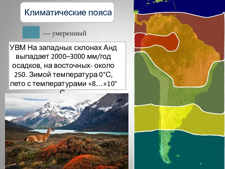 Климатические пояса — умеренный УВМ На западных склонах Анд выпадает
