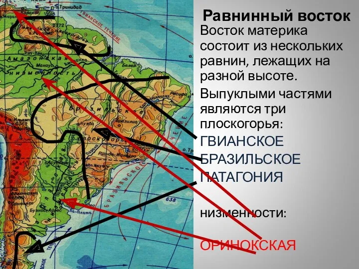 Равнинный восток Восток материка состоит из нескольких равнин, лежащих на