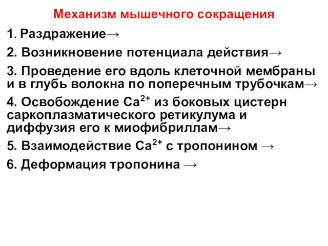 Механизм мышечного сокращения 1. Раздражение→ 2. Возникновение потенциала действия→ 3.