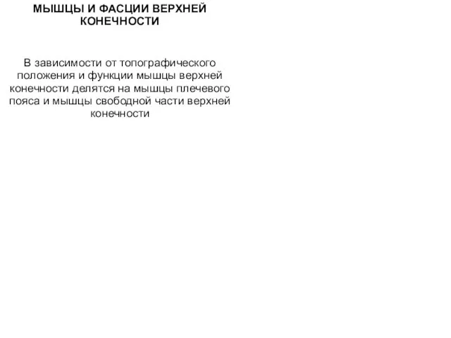 МЫШЦЫ И ФАСЦИИ ВЕРХНЕЙ КОНЕЧНОСТИ В зависимости от топографического положения