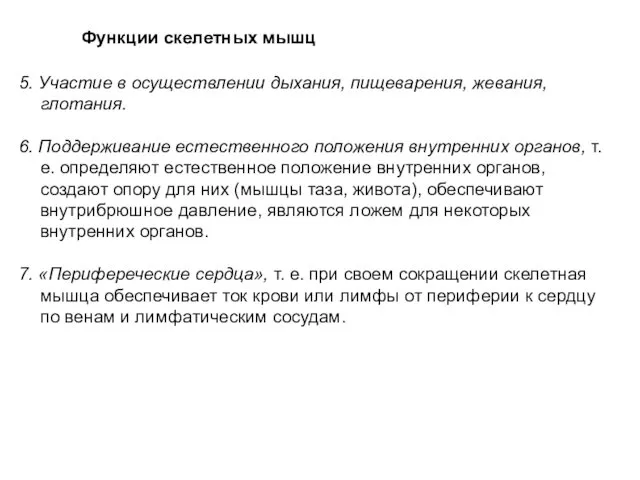 Функции скелетных мышц 5. Участие в осуществлении дыхания, пищеварения, жевания,