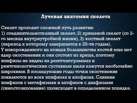 Лучевая анатомия скелета Скелет проходит сложный путь развития: 1) соединительнотканный