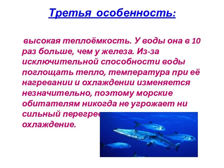 Третья особенность: высокая теплоёмкость. У воды она в 10 раз