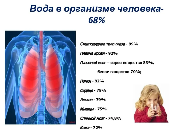 Вода в организме человека- 68% Стекловидное тело глаза - 99%