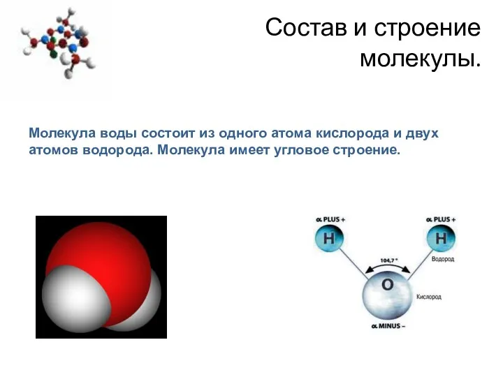 Состав и строение молекулы. Молекула воды состоит из одного атома