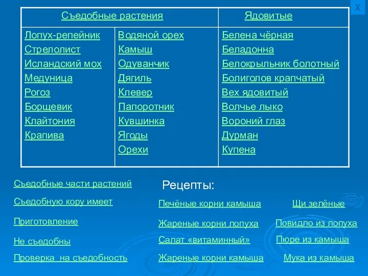 Х Съедобные части растений Не съедобны Проверка на съедобность Съедобную