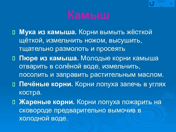 Камыш Мука из камыша. Корни вымыть жёсткой щёткой, измельчить ножом,