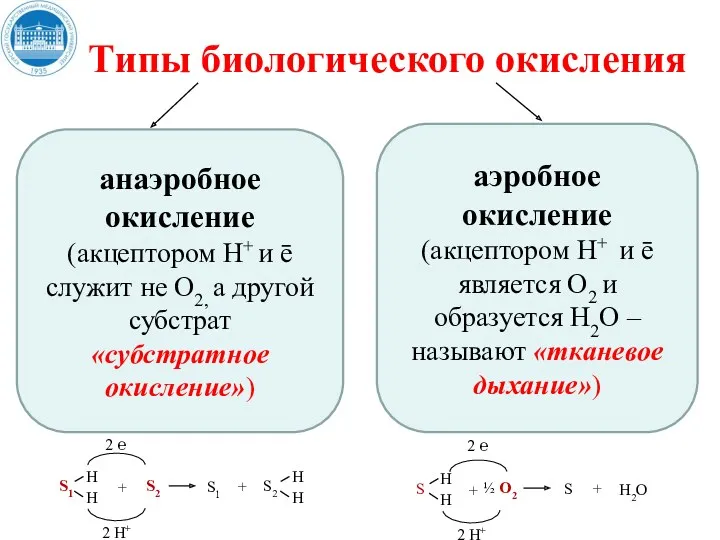 Типы биологического окисления анаэробное окисление (акцептором Н+ и ē служит