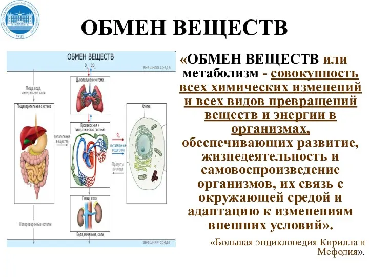 ОБМЕН ВЕЩЕСТВ «ОБМЕН ВЕЩЕСТВ или метаболизм - совокупность всех химических