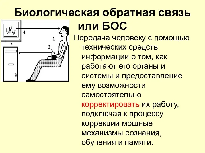 Биологическая обратная связь или БОС Передача человеку с помощью технических