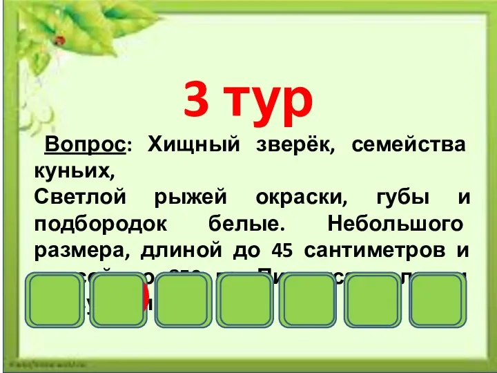 3 тур Вопрос: Хищный зверёк, семейства куньих, Светлой рыжей окраски,