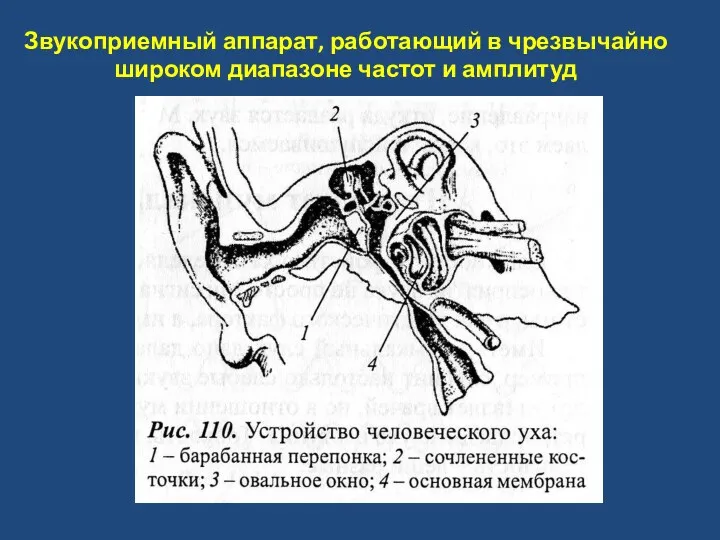 Звукоприемный аппарат, работающий в чрезвычайно широком диапазоне частот и амплитуд