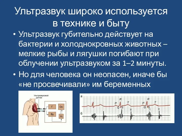 Ультразвук широко используется в технике и быту Ультразвук губительно действует