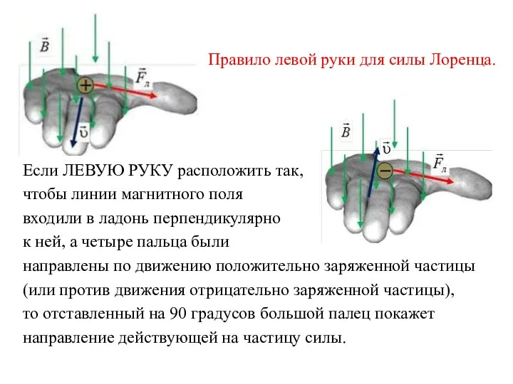 Правило левой руки для силы Лоренца. Если ЛЕВУЮ РУКУ расположить