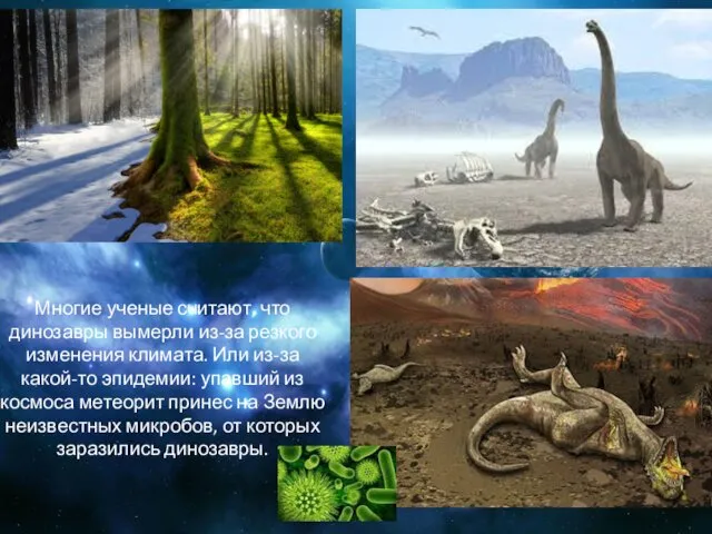 Многие ученые считают, что динозавры вымерли из-за резкого изменения климата. Или из-за какой-то