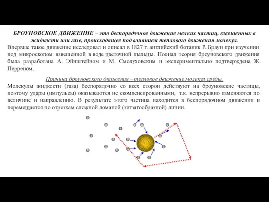 БРОУНОВСКОЕ ДВИЖЕНИЕ – это беспорядочное движение мелких частиц, взвешенных в