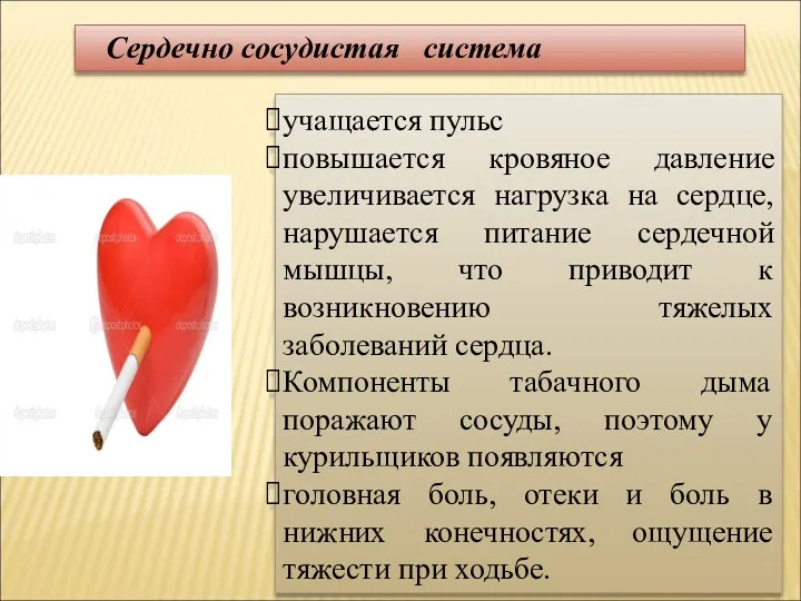 учащается пульс повышается кровяное давление увеличивается нагрузка на сердце, нарушается