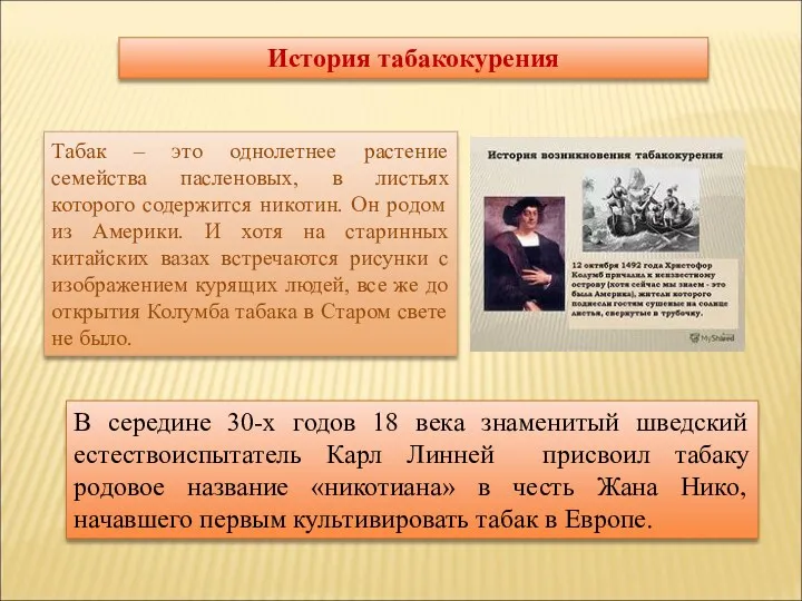 История табакокурения Табак – это однолетнее растение семейства пасленовых, в