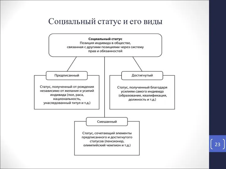 Социальный статус и его виды