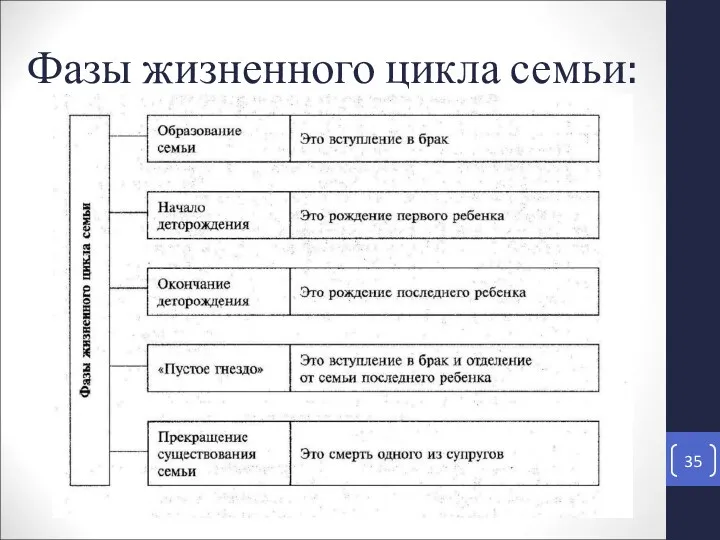 Фазы жизненного цикла семьи: