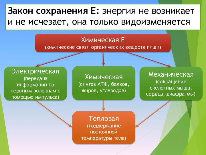 Закон сохранения Е: энергия не возникает и не исчезает, она