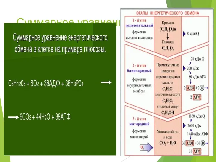 Суммарное уравнение