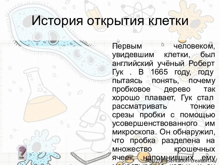 История открытия клетки Первым человеком, увидевшим клетки, был английский учёный