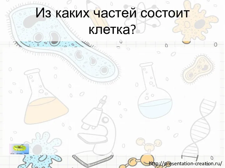 Из каких частей состоит клетка?