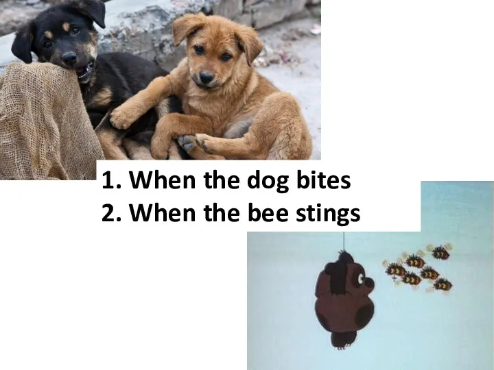 1. When the dog bites 2. When the bee stings