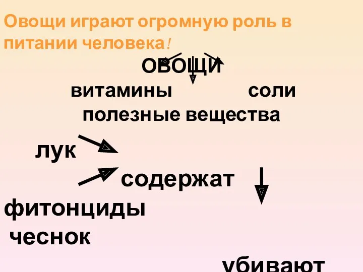 Овощи играют огромную роль в питании человека! ОВОЩИ витамины соли