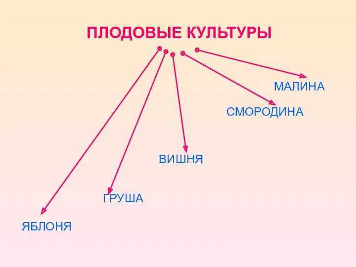 ПЛОДОВЫЕ КУЛЬТУРЫ ЯБЛОНЯ ГРУША ВИШНЯ СМОРОДИНА МАЛИНА