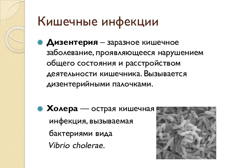 Кишечные инфекции Дизентерия – заразное кишечное заболевание, проявляющееся нарушением общего