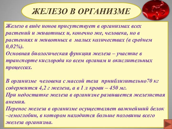 ЖЕЛЕЗО В ОРГАНИЗМЕ Железо в виде ионов присутствует в организмах