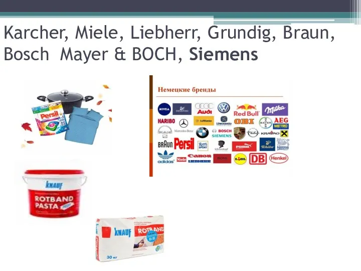 Karcher, Miele, Liebherr, Grundig, Braun, Bosch Mayer & BOCH, Siemens