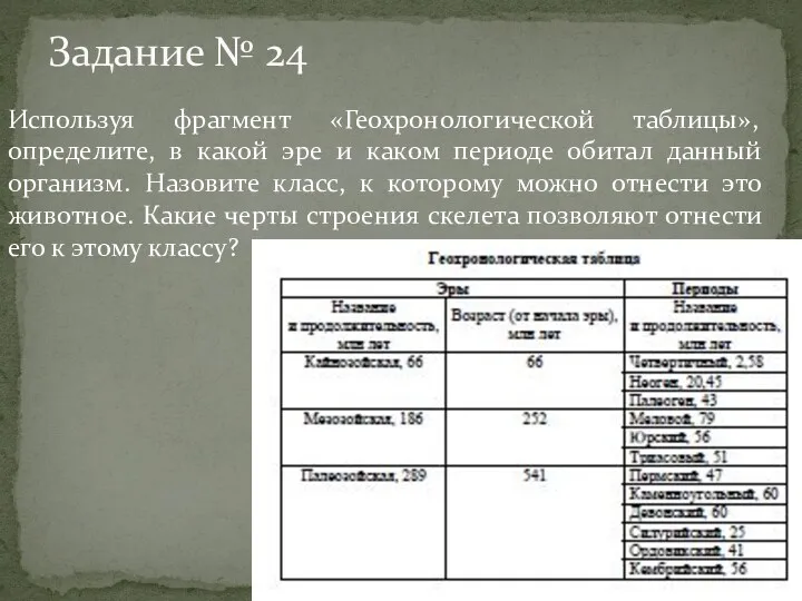 Задание № 24 Используя фрагмент «Геохронологической таблицы», определите, в какой