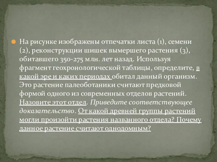 На рисунке изображены отпечатки листа (1), семени (2), реконструкции шишек