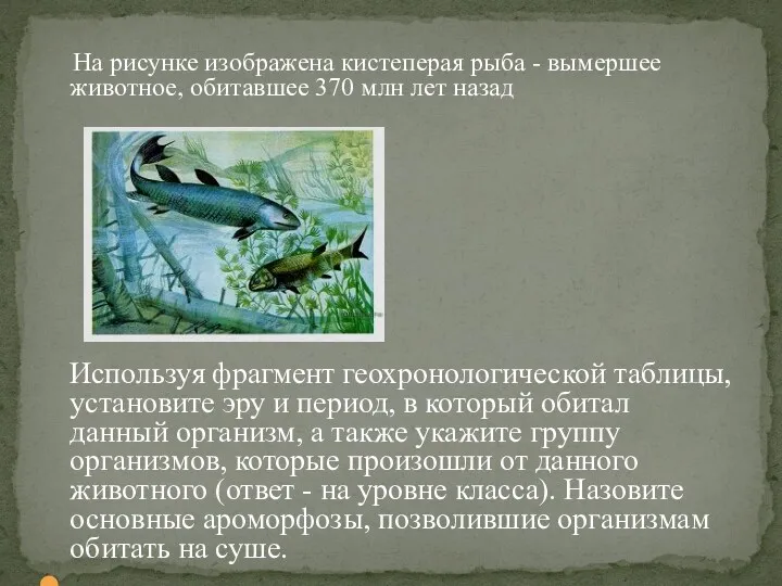 На рисунке изображена кистеперая рыба - вымершее животное, обитавшее 370