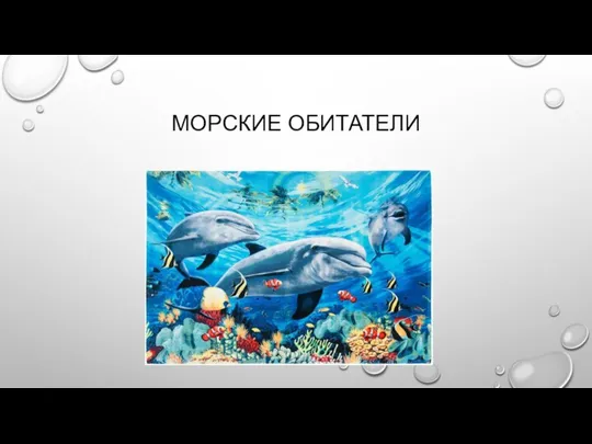 МОРСКИЕ ОБИТАТЕЛИ