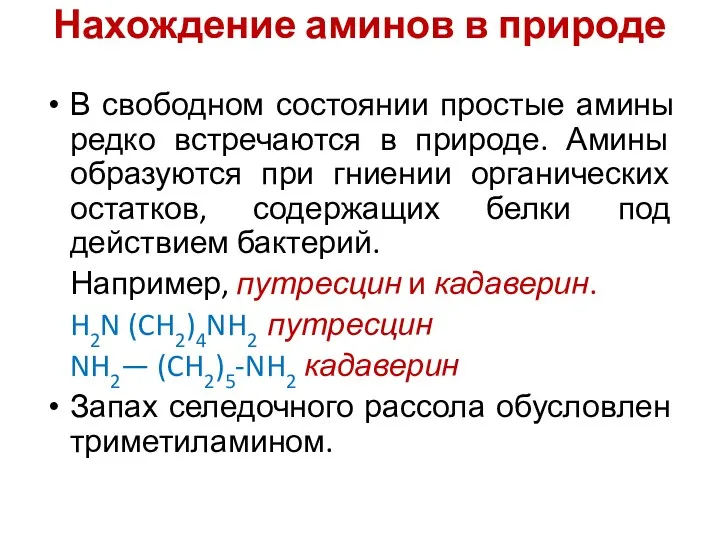 Нахождение аминов в природе В свободном состоянии простые амины редко