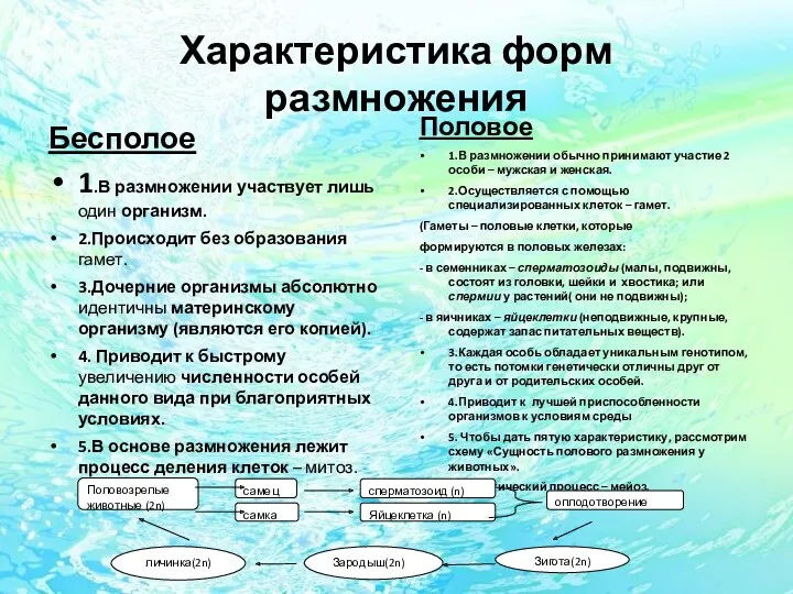 Характеристика форм размножения Бесполое 1.В размножении участвует лишь один организм.