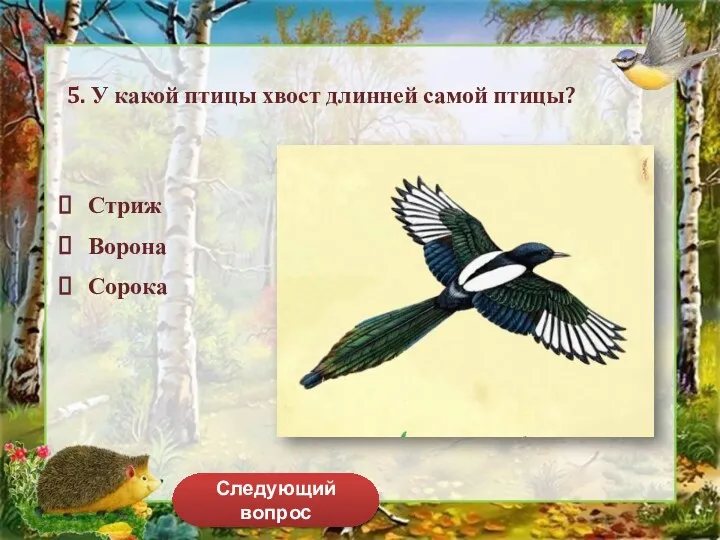 Следующий вопрос 5. У какой птицы хвост длинней самой птицы? Стриж Ворона Сорока