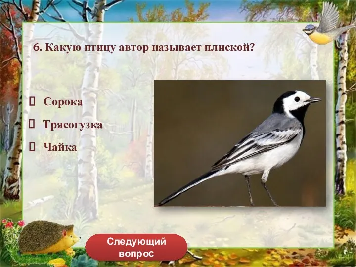 Следующий вопрос 6. Какую птицу автор называет плиской? Сорока Чайка Трясогузка