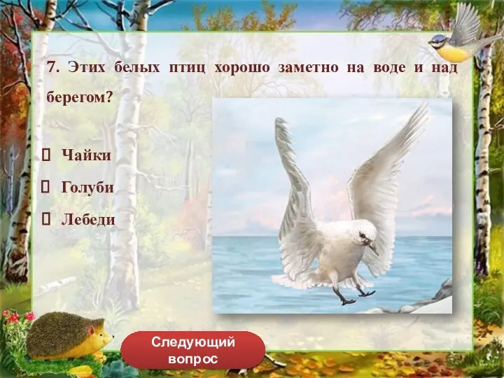 Следующий вопрос 7. Этих белых птиц хорошо заметно на воде и над берегом? Чайки Голуби Лебеди